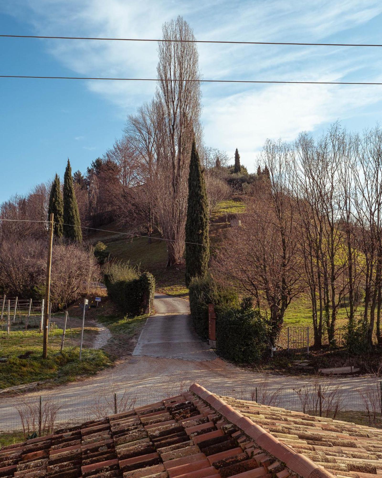 Agriturismo La Vigna Di Sarah Vittorio Veneto Exteriör bild